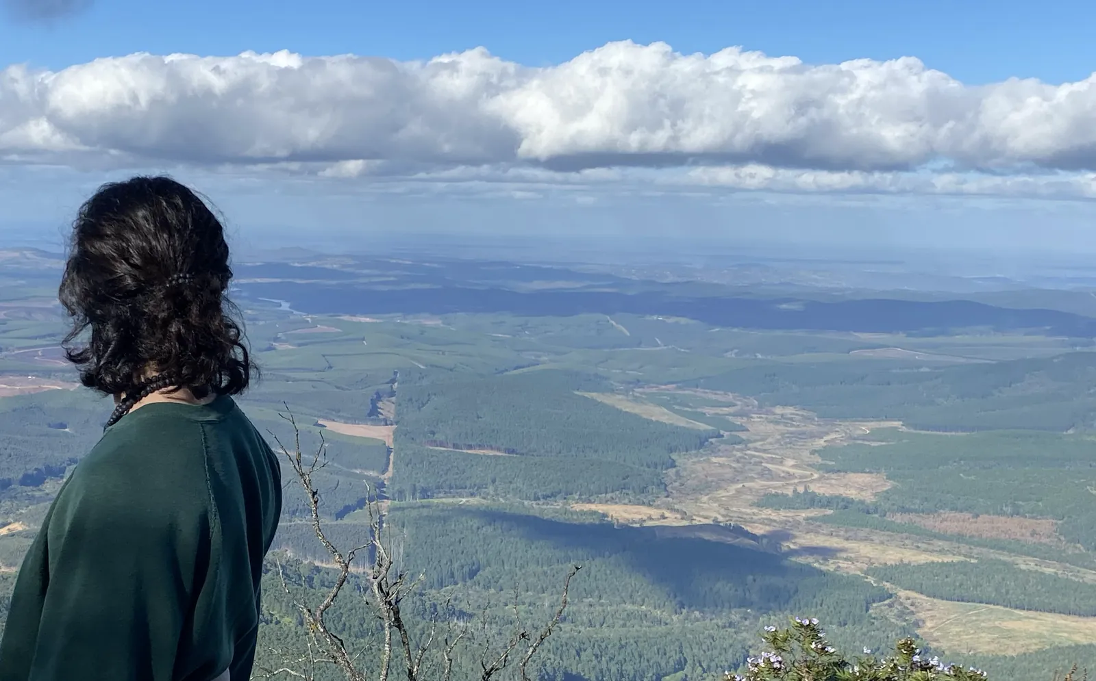 Ibrahim, seen from behind in a green jumper, looking out over a wide forested valley beneath a band of cloud