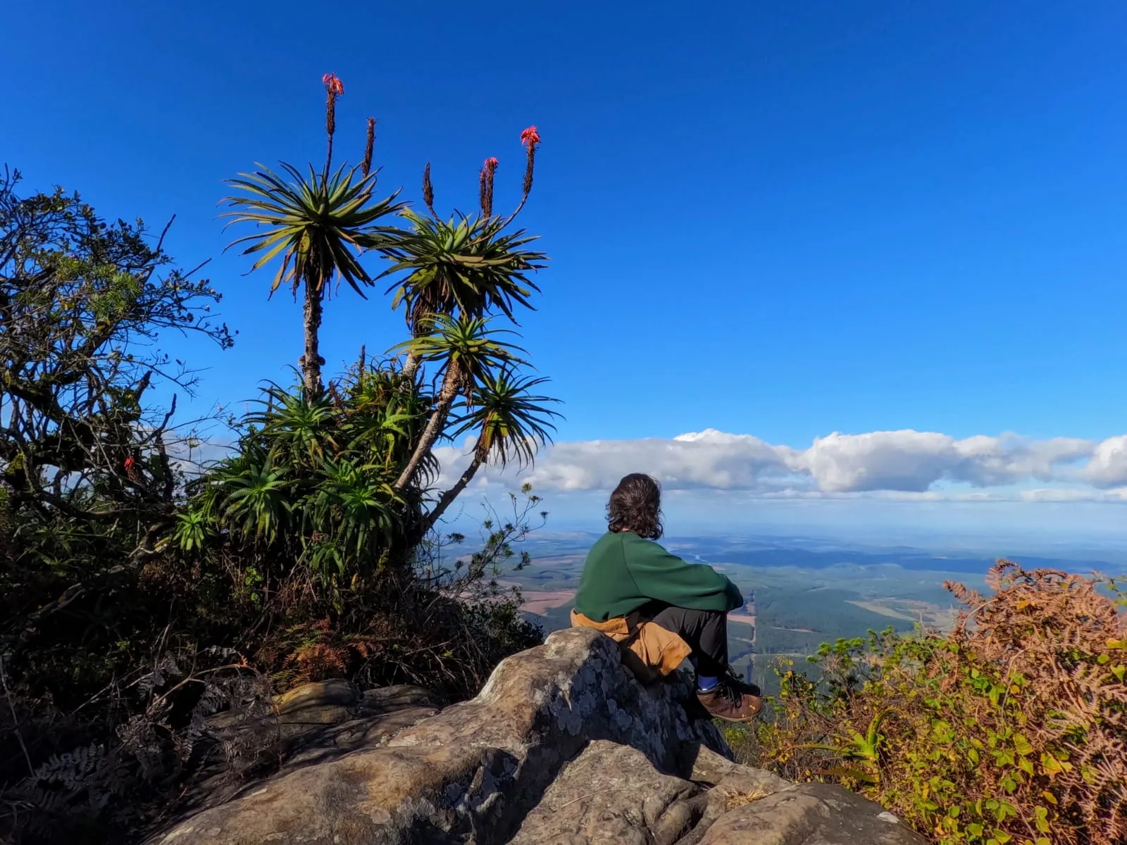 Ibrahim sitting on a rocky outcrop beside flowering aloes, looking out over a forested valley under a blue sky
